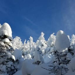 NH 48 4000 footers: Cabot