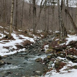 NE Hundred Highest: Dorset Mountain (VT)