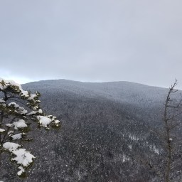 NE Hundred Highest: Sandwich (attempt)