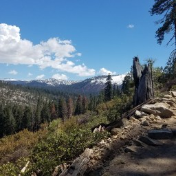 Yosemite in Pictures: Day 1
