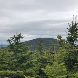 The Grid: Field, Willey, & Tom