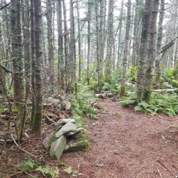 New England Hundred Highest: North Weeks & South Weeks