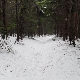 NE 111: Slide Mountain