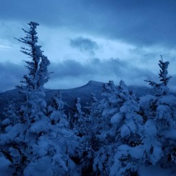 NE 111: Cascade & Porter