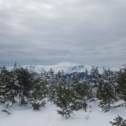 Winter 48: Wildcat D & A, Carter Dome, & S/M/N Carter