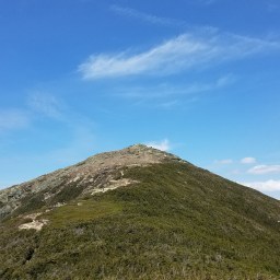 The Grid: Lafayette, Lincoln, & Liberty