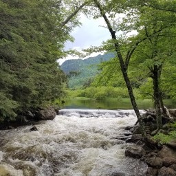 ADK46: to Wedge Brook campsite