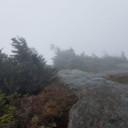 ADK46: Macomb, South Dix, Grace, Hough, Dix