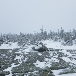 Winter 48: Isolation