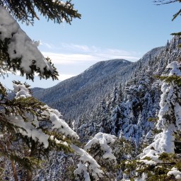 Winter 48: Passaconaway, Whiteface
