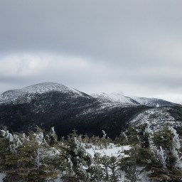 Winter 48: Eisenhower, Pierce, Jackson