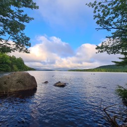 Northeast Ultra 8: Cranberry 50