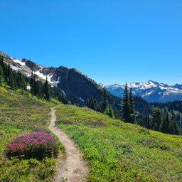 WA PCT, day 8