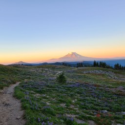 WA PCT, day 19