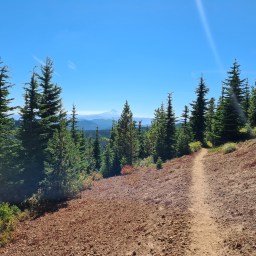 WA PCT, day 21