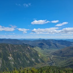 The Grid: Tom, Field, Willey