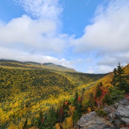 The Grid: Owl’s Head