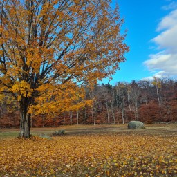 The Grid: Whiteface, Passaconaway