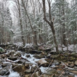 The Grid: Owl’s Head