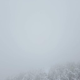 The Grid: Liberty, Flume