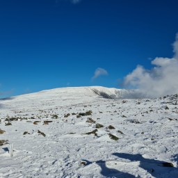 Winter 67: Baxter & Hamlin