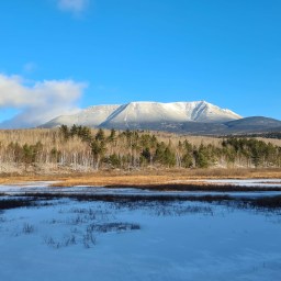 Winter 67: from Daicey Pond