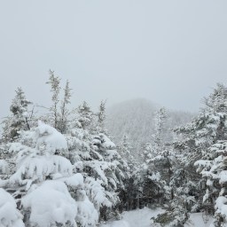 Winter 67: Abraham, Ellen