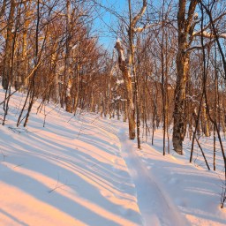 Winter 67: North & South Crocker