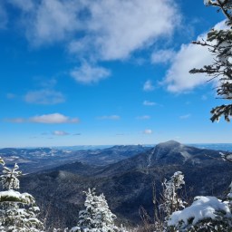 The Grid: Tripyramids