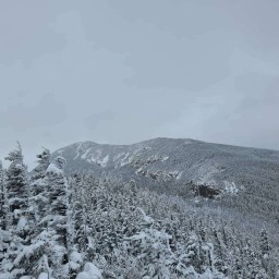 The Grid: Osceola, East Osceola