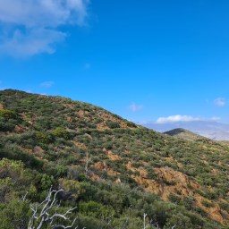 PCT: Campo to Cajon Pass, Day 5
