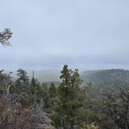 PCT: Campo to Cajon Pass, Day 11