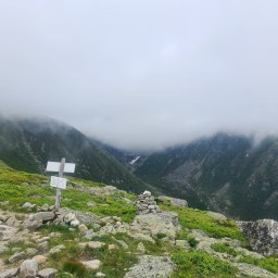 Cygnet Song (half a Swan Song)