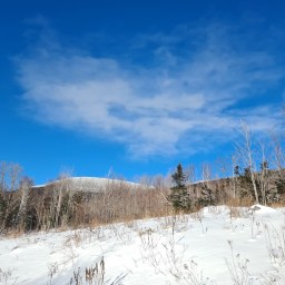 Winter NE100: East Kennebago