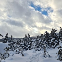 Winter NE100: Sandwich