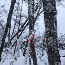 Winter NE100: Scar Ridge