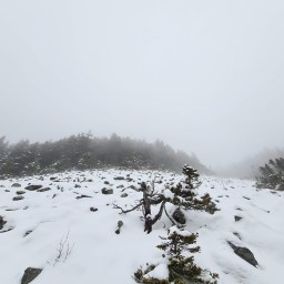 Winter NE100: Vose Spur