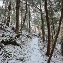 Winter NE100: Breadloaf, Wilson