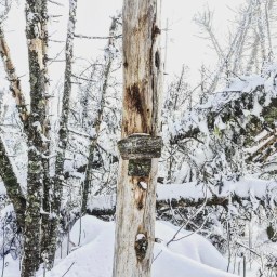 Winter NE100: East Sleeper