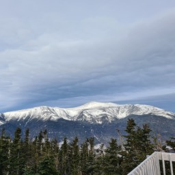 The Grid: Wildcats and Carters