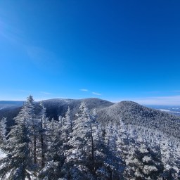 Winter NE100: Horn, Bulge, Middle and South Weeks