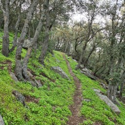 2022 SoCal PCT section, Day 3