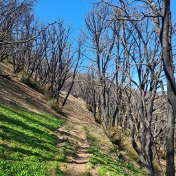 2022 SoCal PCT section, Day 7