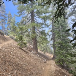 2022 SoCal PCT section, Day 11