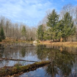 Cranberry Lake 50mi loop