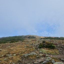 May Grid: Moosilauke