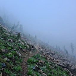 Day 2, NorCal PCT 2022