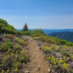 Day 10, NorCal PCT 2022