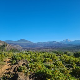 Day 12, NorCal PCT 2022