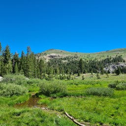 Day 20, NorCal PCT 2022